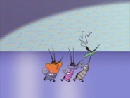 The Cockroaches dancing to el salsafiore