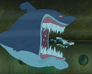 Shark Attack.jpg (41 KB)