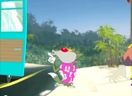 Jack goes to hawaii.jpg (43 KB)