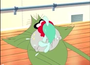 Fish in jacks nose.jpg (39 KB)