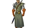 Destin Faroda
