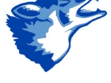 West Canaan Wizards/Coyotes