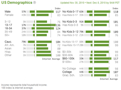 Websitedemographicsdecember2010