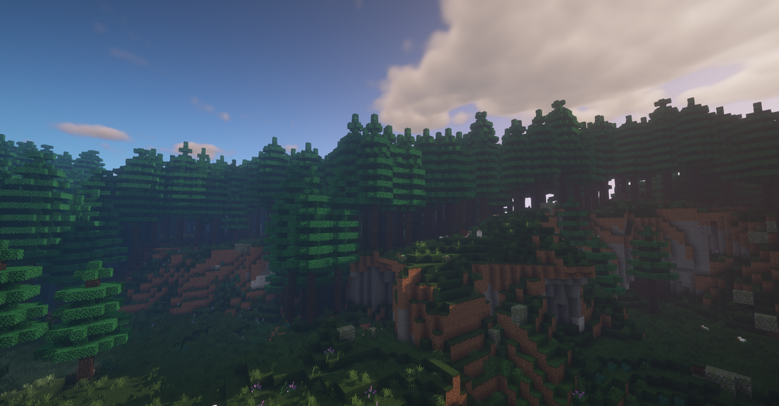 Coniferous Forest Oh The Biomes You