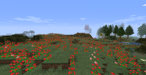 Rose Fields.png