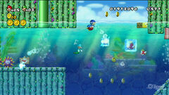 New Super Mario Bros Revolution