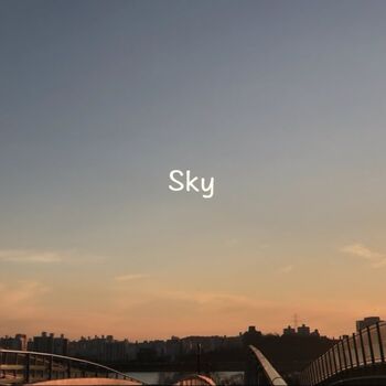 Sky Cover