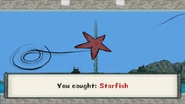 Starfish