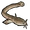 Loach icon