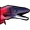 Salmon icon