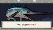 Marlin