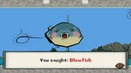 Blowfish