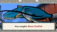 Giant catfish