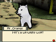 Mr.Orange's sight upon seeing Chibiterasu.