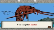 Lobster