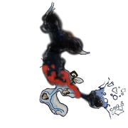 Map of the cursed Kamui.