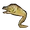 Moray icon