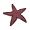 Starfish icon