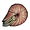 Nautilus icon