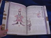 A page of the Garyou Tensei Ōkami.