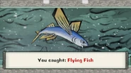 Flying fish