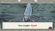 Squid