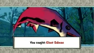 Giant salmon