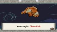 Clownfish