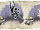 Ink Bullet Scroll.png