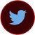 Link-wiki-twitter.png