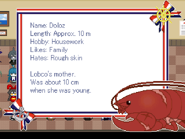 Doloz's bio