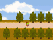 The path to the Evening Forest