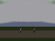 A grass field of sorts