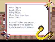 Seguro's bio