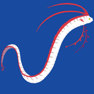 Tatsumiya in her oarfish form