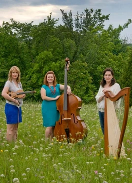 New VW cropped.136102836 std