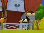 Cow.jpg