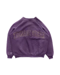 TEENAGE DREAM CREWNECK