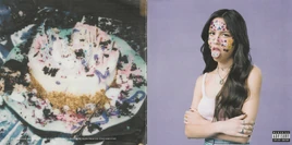 SOUR Booklet 1.jpg (193 KB)