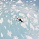 Deja Vu Teaser 1.jpg (216 KB)