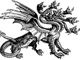 Hydra