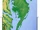 Delmarva Peninsula