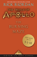 Toa burning maze cover