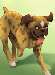 , Zane’s dog when she was alive.