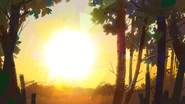 Summer Solstice