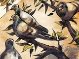 Stymphalian Birds