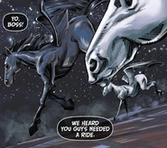 Blackjack-Guido-Porkpie.jpg (178 KB)