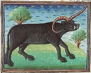 Yale.jpg (41 KB) Yales