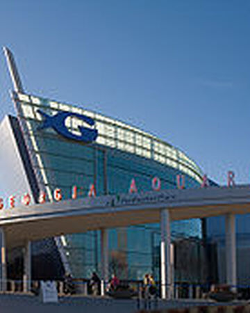 georgia aquarium riordan wiki fandom