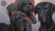 Hellhounds (Left to right: Mrs. O'Leary, Nope, and Hecuba)